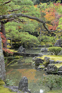 日本京都秋天时银井二殿的美丽落颜色图片