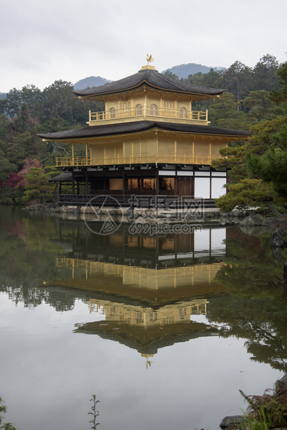 京都金殿佛教寺庙Kinkakuji是日本最受欢迎的建筑之一每年吸引大量游客图片