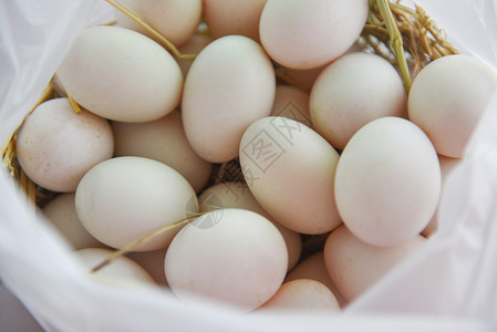 白袋中的新鲜鸡蛋白鸭生产从农场有机物中新鲜的鸡蛋背景图片