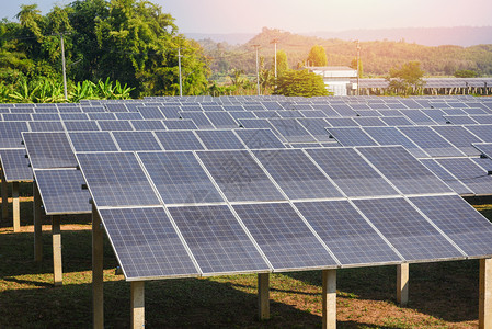 太阳能农场电池板与绿树和阳光照明的太能电池板视图反映太阳能电池或可再生源概念图片