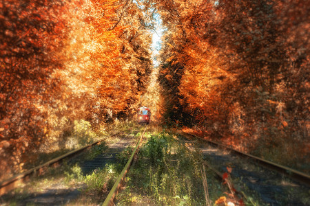 公园中美丽的魔法小巷充满多彩的树木和电车道秋天自然背景图片