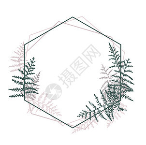 柱形矢量插图自然背景邀请卡模板树枝叶装饰框架图片