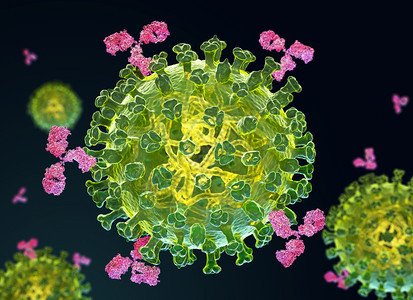 流感和抗体3D说明图片