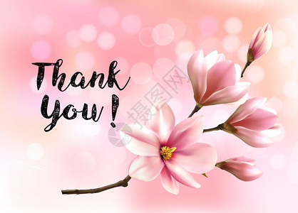 感谢您的背景与美丽花朵粉红色木兰的早午餐矢量图片