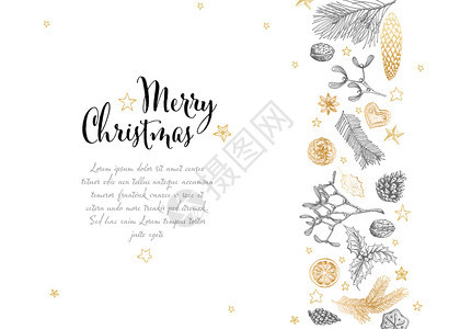 矢量老手画圣诞卡具有各种季节形状姜面包寄生虫锥坚果图片