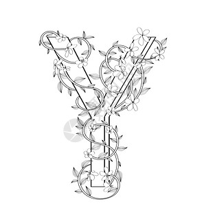 汉式婚礼花纹白色背景上的字母y花纹草图插画