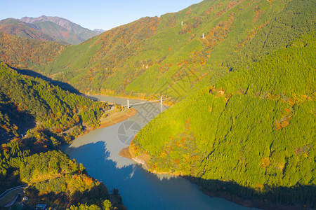 横渡长谷川铁路的蒸汽列车空中观察以在森林山丘和秋季蓝河的红落叶进行站岗日本静冈的红桥图片