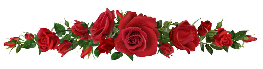 真实的红玫瑰边界鲜花美丽的树叶和盛大花卉组成用于结婚卡和邀请矢量说明自然植物博爱框架要素现实的红玫瑰边界鲜花成分美丽的树叶和盛大背景图片