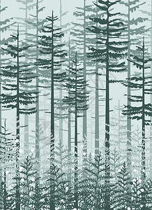 原始森林地貌背景的矢量插图自然背景有树的邀请模板叶子装饰自然背景图片