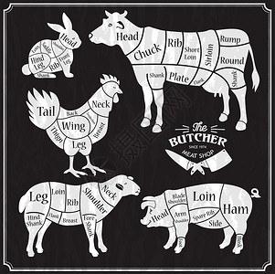 量钮动物农场牛肉猪羊鸡牛猪羊和鸡的浅色矢量说明动物农场牛肉鸡的切