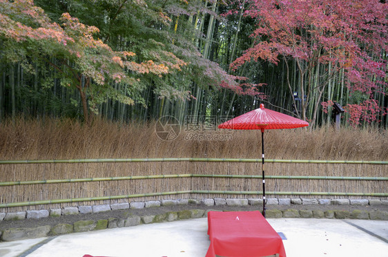 传统茶园红色布由银木寺竹林制成图片