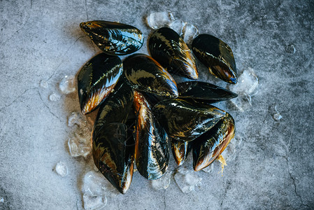 餐馆新鲜海贝壳鱼或在市场销售的贝壳食品有冰和黑板底的原壳类图片