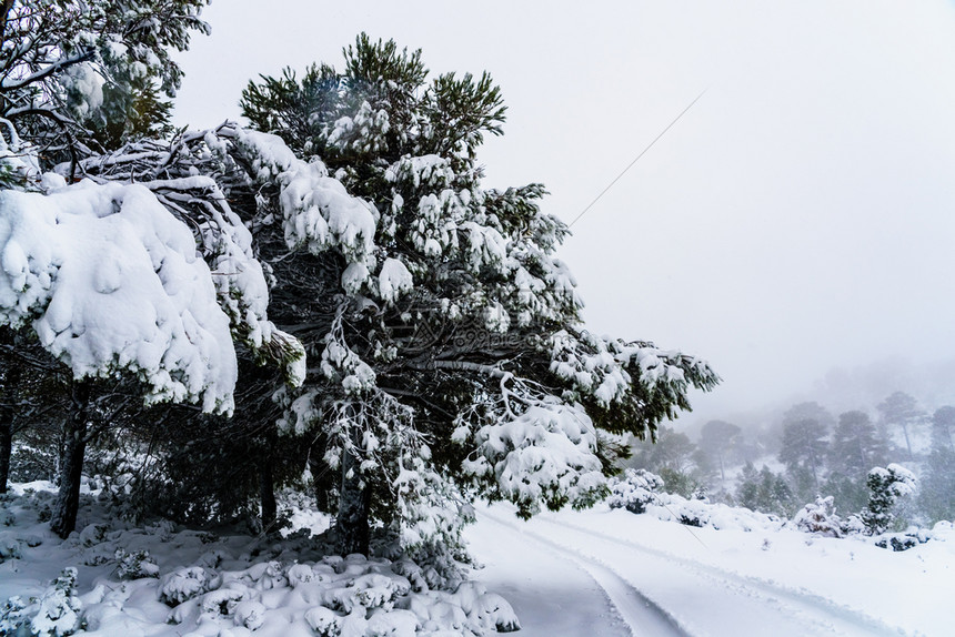 农村山路被雪覆盖图片