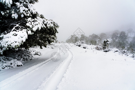 农村山路被雪覆盖图片