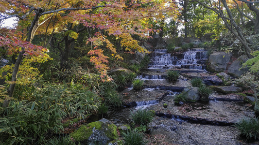 Kokoen是位于喜梅吉城堡旁边的日本花园图片