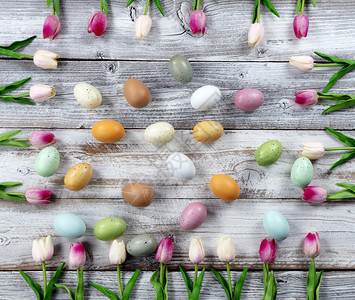 复活节快乐概念由粉红郁金箱环绕的彩蛋在白锈木上塑造的边框图片