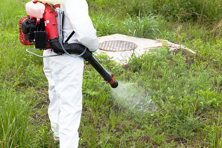 虫害防治工人喷洒杀虫剂图片
