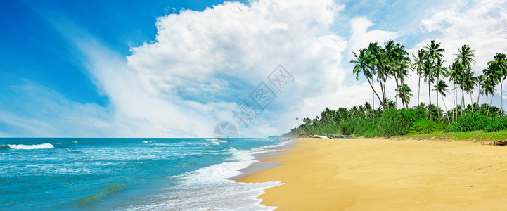 蓝色天空和黄沙尘的全景热带海图片