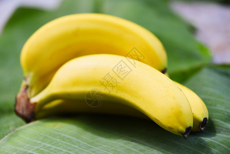 在香蕉叶背景上的在夏季水果图片