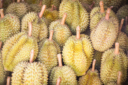 热带水果市场销售的草料背景Durian水果图片