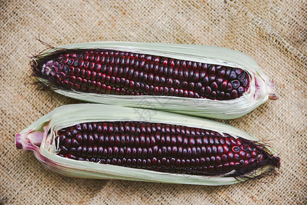 甜紫玉米新鲜暹罗RubyQueen或甜玉米在鳕鱼上顶端风景背景图片