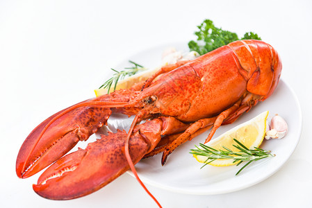 红龙虾餐饮配有香草料的海鲜菜柠檬迷香糖餐桌上饭健康美食煮的龙虾图片