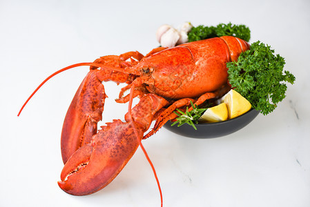 碗和白桌背景的新鲜龙虾食品红龙虾晚餐配有香草料的海鲜菜柠檬迷香糖餐桌和在厅的美食中烹煮健康的美食图片