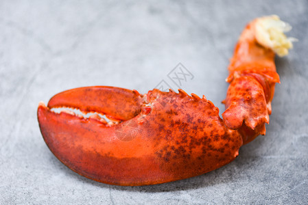 海食龙虾品爪蟹煮熟图片
