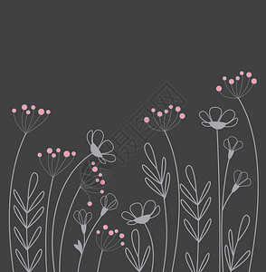 鲜花的矢量插图野花装饰草地的装饰品草地花的背景图片
