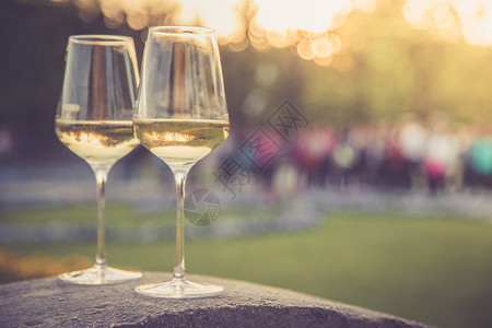 在正规花园的石墙上喝着白葡萄酒在晚上的阳光下在自己的花园里享受图片