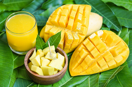 芒果树热带夏季水概念甜美成熟芒果的叶上配片的汁杯和片图片