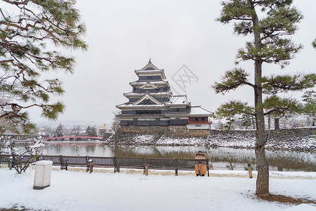 松本城堡冬季有树枝和雪日本长野图片