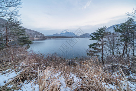 佐子湖富士五藤山冬季下雪在日本山桥藤川口附近自然景观背图片