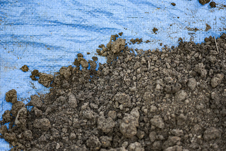 适合耕种土壤背景的肥沃岩浆土壤用于园艺概念选择重点图片