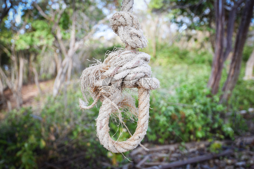 绳环结捆绑/绞索挂在树上或绳索