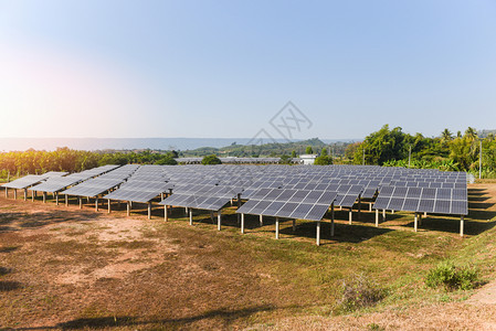 太阳能农场电池板配有绿树和阳光照明的绿树和太阳能电池板反映太阳能电池或可再生源概念图片