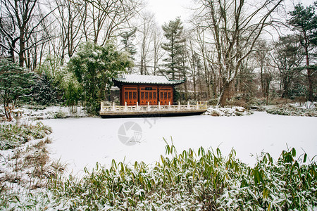 冬季公园的日本寺庙公园的美丽景色图片