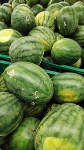 市场上的大型熟绿色条纹西瓜图片