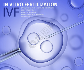 体外受精图片 体外受精素材 体外受精高清图片 摄图网图片下载