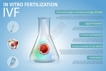 培育受精卵试验矢量设计模板图片