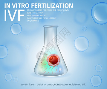 培育受精卵试验矢量设计模板图片