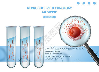 培育受精卵试验矢量设计模板图片
