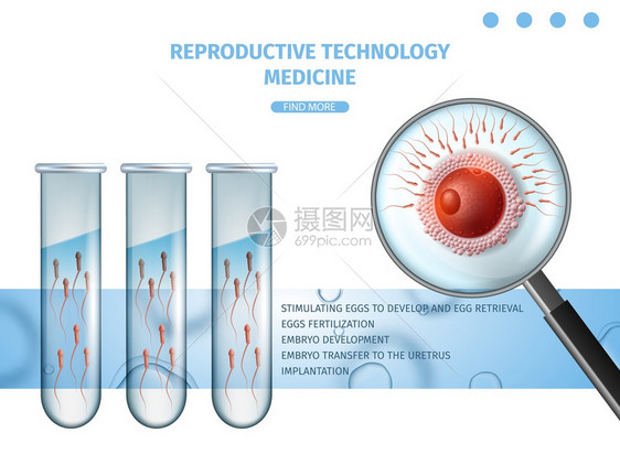 培育受精卵试验矢量设计模板图片