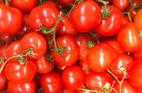 新鲜红番茄健康新鲜食物背景图片