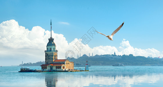 伊斯坦布尔梅登塔附近的海鸥日落伊斯坦布尔日落图片