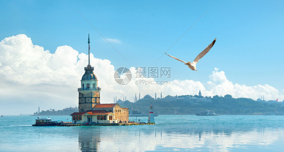 伊斯坦布尔梅登塔附近的海鸥日落伊斯坦布尔日落图片