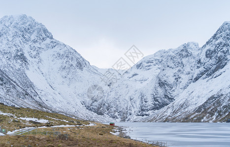 Lofoten岛挪威Nordland县欧洲的Lofoten岛Nordland县欧洲的冰湖白雪山丘和树木冬季自然景观背著名的旅游点图片