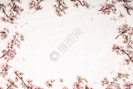 春花组成白纸巾上的粉红樱花平地最美的景色白纸巾上的樱花与春边框图片