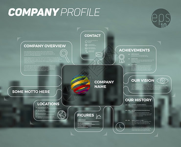 公司概览的矢量设计信息图模板图片