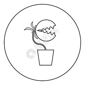 黑色圆形食人花图案矢量插图图片素材